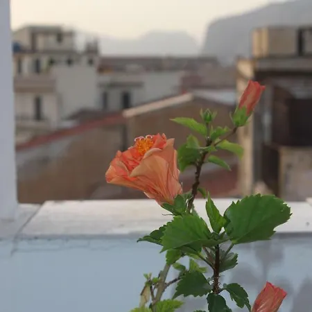 Dimore De La Rosa * Palermo