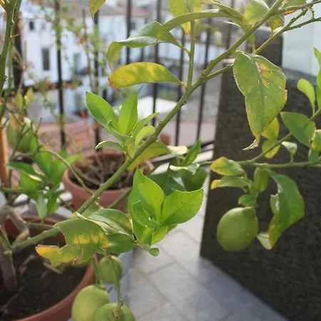 Dimore De La Rosa Apartmán *
